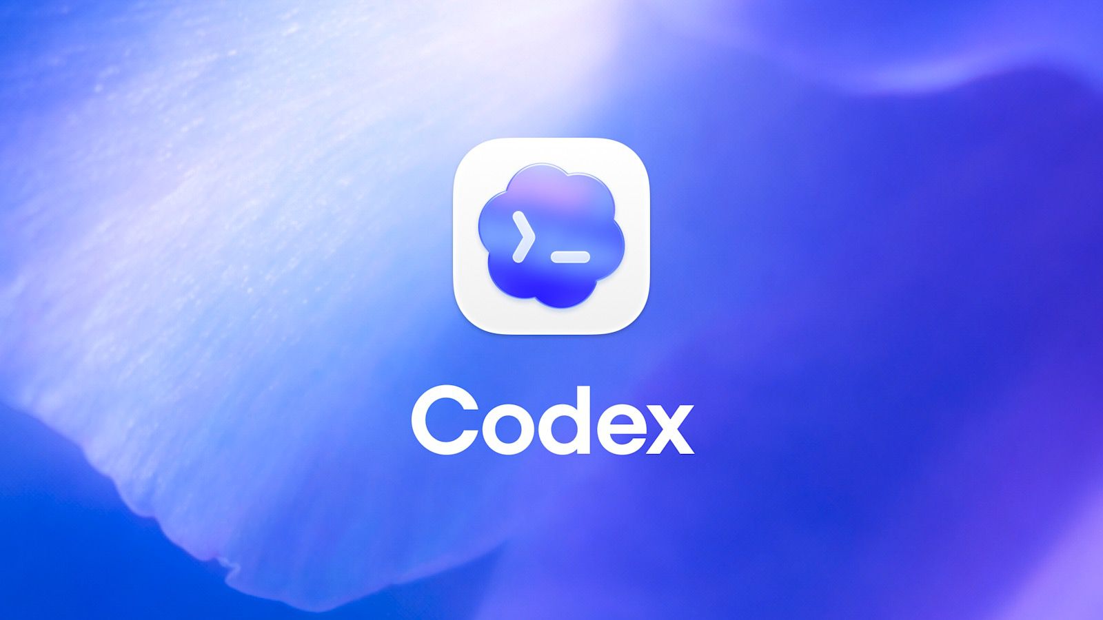 OpenAI Codex desktop agent